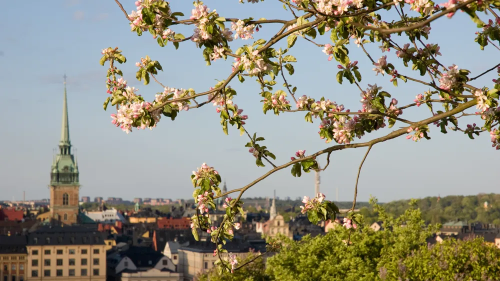 27:e Svenska Kardiovaskulära vårmötet