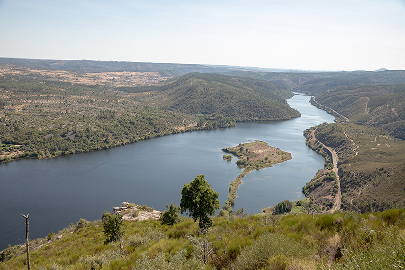 3rd IONM Advanced Summer (Spring) School of the DGKN/FBA